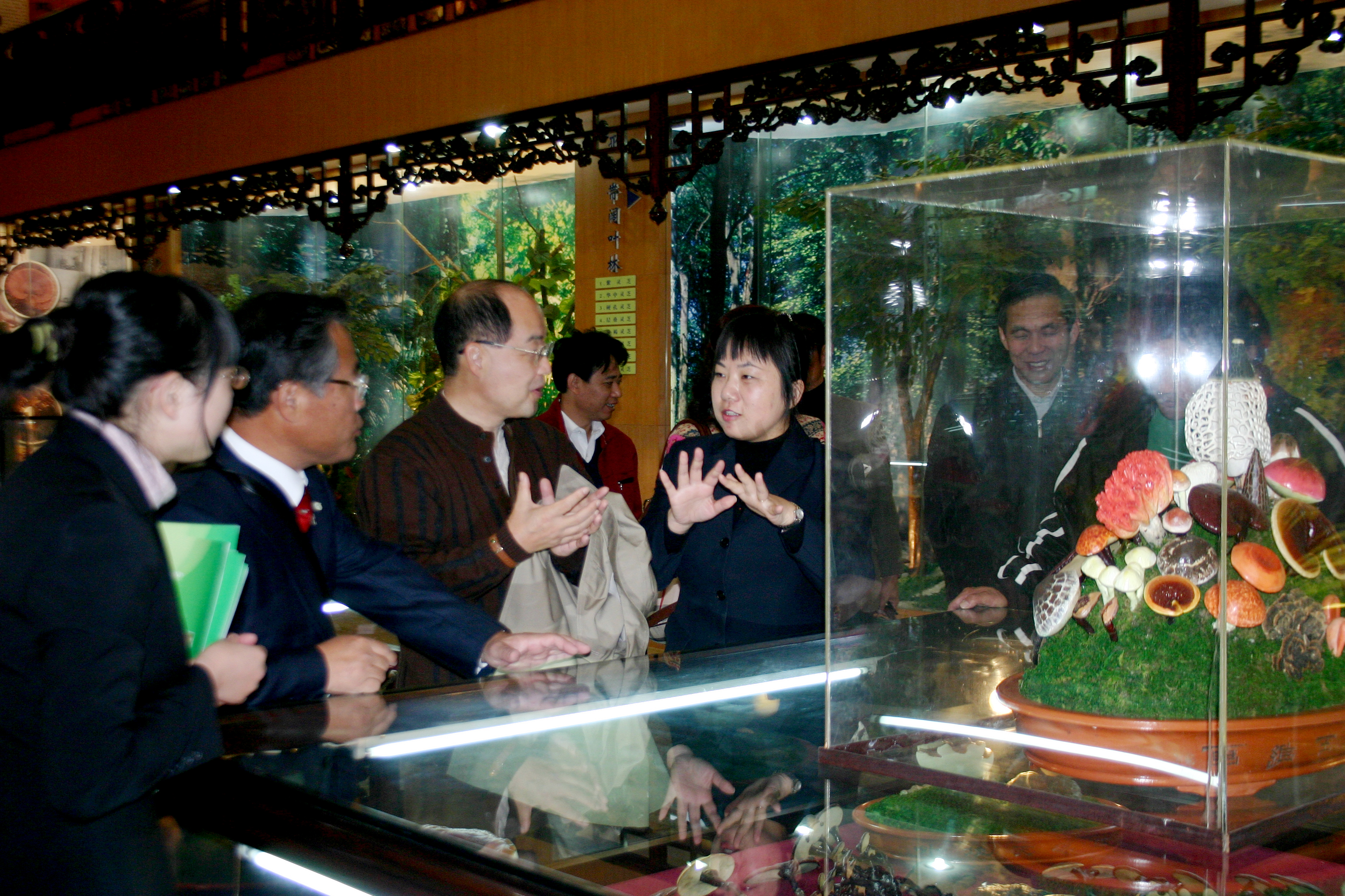 專(zhuān)題報(bào)道