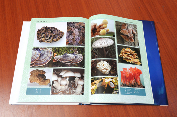 圖片關鍵詞 圖片關鍵詞