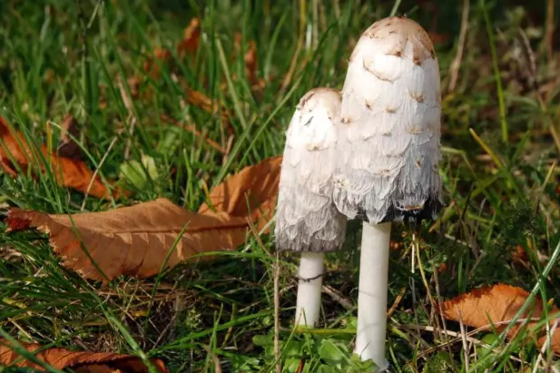 圖片關鍵詞 圖片關鍵詞