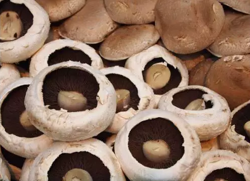 圖片關鍵詞 http://www.zjyouhua.com/ewebeditor/uploadfile/20170914091257506001.png