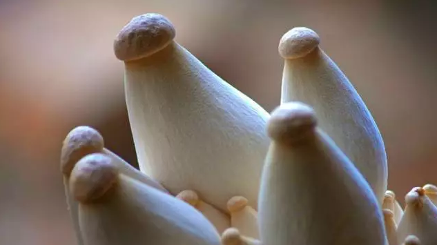 圖片關鍵詞 http://www.zjyouhua.com/ewebeditor/uploadfile/20170914091357269001.png