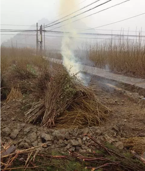 圖片關鍵詞 圖片關鍵詞