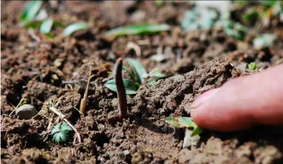 圖片關(guān)鍵詞 http://www.zjyouhua.com/ewebeditor/uploadfile/20180814102741148001.png
