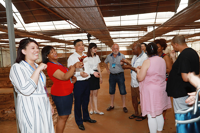 圖片關(guān)鍵詞 圖片關(guān)鍵詞