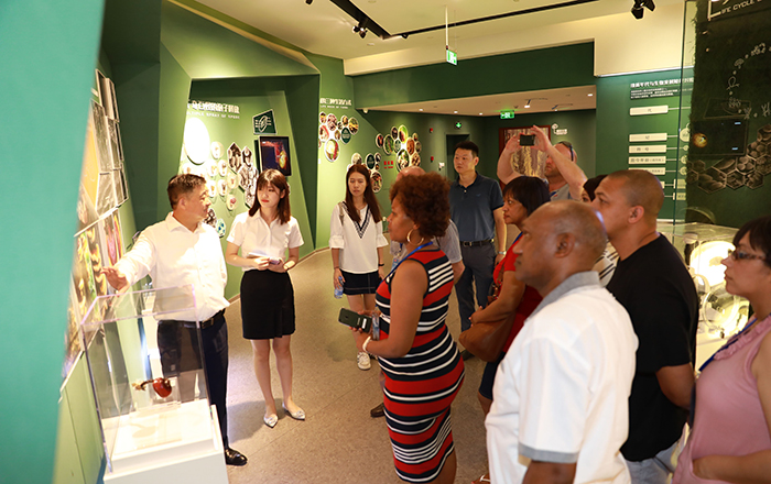 圖片關(guān)鍵詞 圖片關(guān)鍵詞