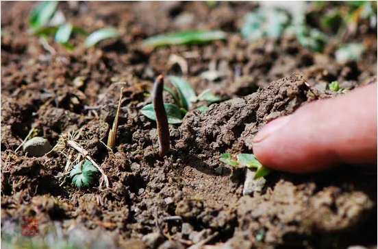 圖片關鍵詞 http://www.zjyouhua.com/ewebeditor/uploadfile/20180921101313325001.png