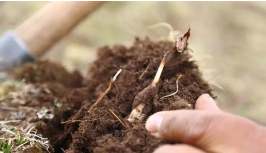 圖片關鍵詞 http://www.zjyouhua.com/ewebeditor/uploadfile/20180921101228689001.png