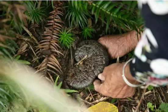圖片關鍵詞 圖片關鍵詞