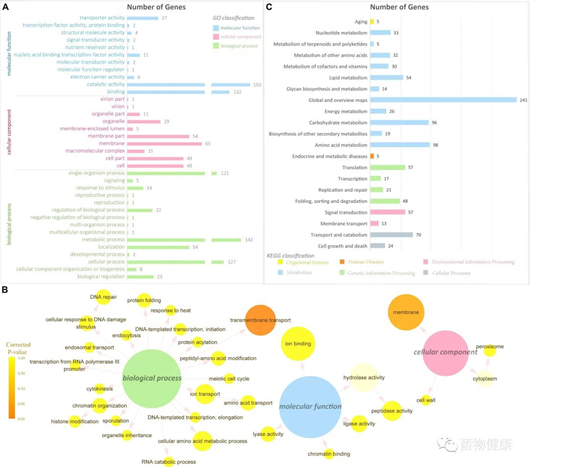 圖片關鍵詞 圖片關鍵詞