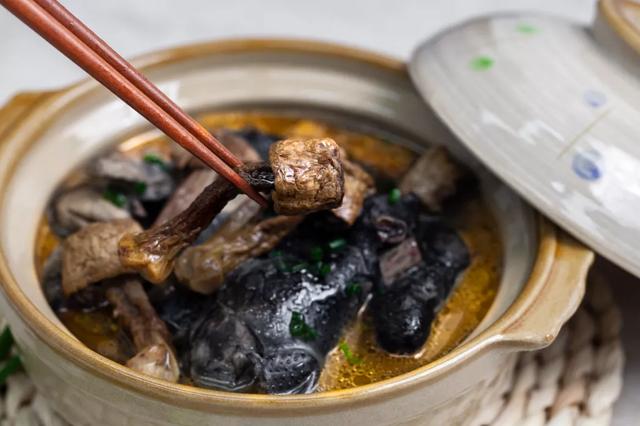 圖片關(guān)鍵詞 國(guó)家蘑菇地理:中國(guó)哪里的蘑菇最好吃?