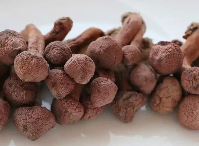 圖片關(guān)鍵詞 國(guó)家蘑菇地理:中國(guó)哪里的蘑菇最好吃?