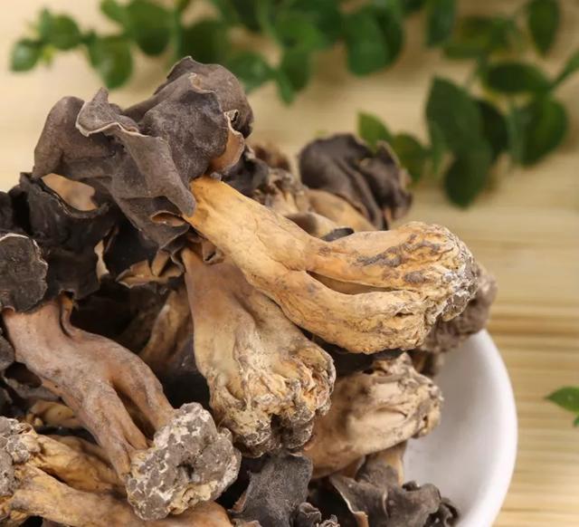 圖片關(guān)鍵詞 國(guó)家蘑菇地理:中國(guó)哪里的蘑菇最好吃?