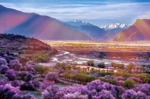 圖片關(guān)鍵詞 國(guó)家蘑菇地理:中國(guó)哪里的蘑菇最好吃?