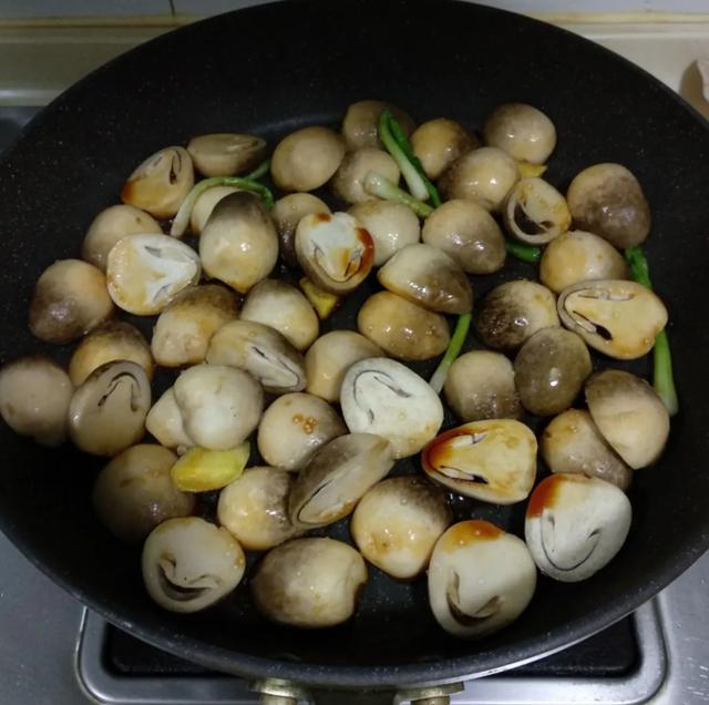 圖片關(guān)鍵詞 國(guó)家蘑菇地理:中國(guó)哪里的蘑菇最好吃?