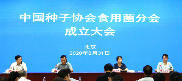 圖片關(guān)鍵詞 https://mmbiz.qpic.cn/mmbiz_png/EzTg6Bqtpm1CKj38vS1NgvGRicwJgsxcrLoa1licZCfRekGhF4ok8A1KicFEh7wJUX5RAicaFs1CCuYVwnFvicEN21A/640?wx_fmt=png