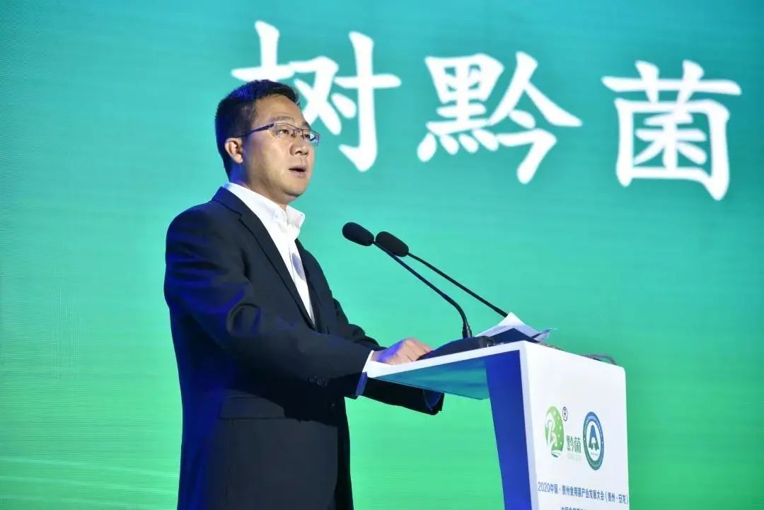 圖片關(guān)鍵詞 https://mmbiz.qpic.cn/mmbiz_jpg/tViaTicjwibVZmgEXXCALToc7mAB2rFo1LncQUQa6P80qvCuxZove6RwbiaY7eQBvIk0RmoxJGmfVeXdL0losp7Llg/640?wx_fmt=jpeg