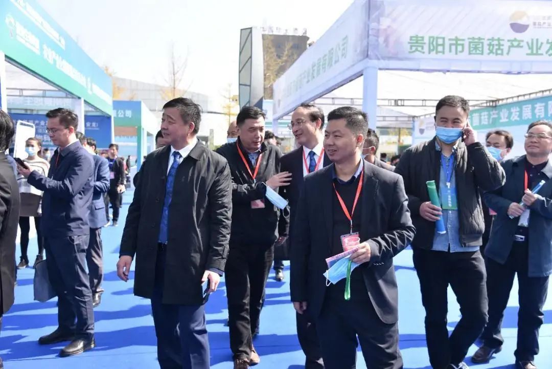 圖片關(guān)鍵詞 https://mmbiz.qpic.cn/mmbiz_jpg/tViaTicjwibVZmgEXXCALToc7mAB2rFo1LnVopXKhRPPC6Lpbx3uu8h5s23ibjG5icCGqSKScibzzVb3VWeYc4wQ8H6w/640?wx_fmt=jpeg