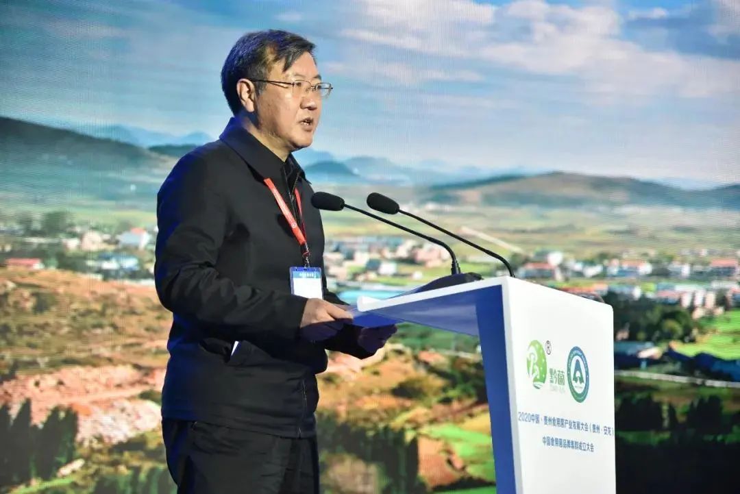 圖片關(guān)鍵詞 https://mmbiz.qpic.cn/mmbiz_jpg/tViaTicjwibVZmgEXXCALToc7mAB2rFo1Lnd9dJJbCwCeiciaicl3uI4FEfaDILyH2k6hfAFB3C1saOv389lYrkmcLlw/640?wx_fmt=jpeg