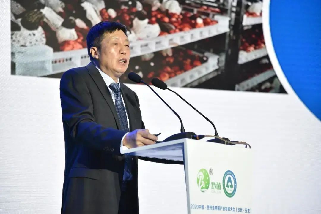 圖片關(guān)鍵詞 https://mmbiz.qpic.cn/mmbiz_jpg/tViaTicjwibVZmgEXXCALToc7mAB2rFo1LnLgNnOQ5SIZqVaUQRKmnRdiazm6WKSryNstORu1qic6AHeS5icBo342Dmw/640?wx_fmt=jpeg