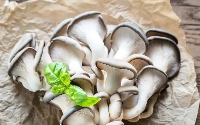 圖片關鍵詞 https://mmbiz.qpic.cn/mmbiz_jpg/EzTg6Bqtpm2iaWlVaT8kP4ytdpE4icsH2eReNKcicgPgIrsmHic9fdeH5TTIgdrHzbTLUj5SIvA5ABbPT0QueGGLAw/640?wx_fmt=jpeg