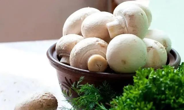 圖片關鍵詞 https://mmbiz.qpic.cn/mmbiz_jpg/EzTg6Bqtpm2iaWlVaT8kP4ytdpE4icsH2eTcT2LvxU8nLje6fpsHrVNcN5e89Vzay52alibsV9tRLcC1nx1L6lUsA/640?wx_fmt=jpeg