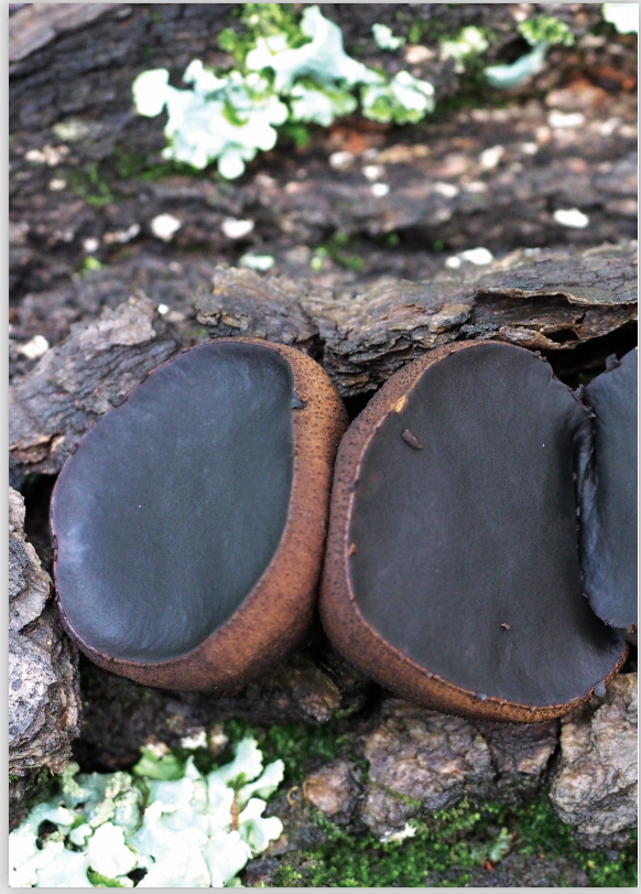 圖片關鍵詞 圖片