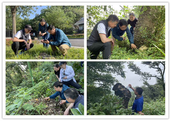 圖片關鍵詞 圖片關鍵詞