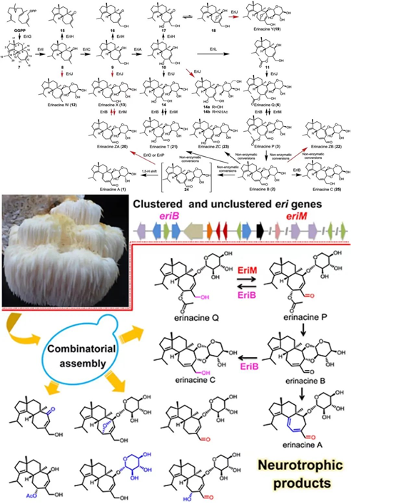 圖片關鍵詞 圖片關鍵詞