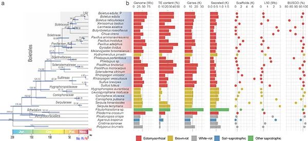 圖片關(guān)鍵詞 圖片
