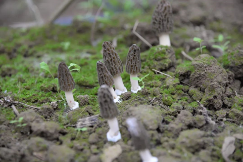 圖片關鍵詞 圖片關鍵詞