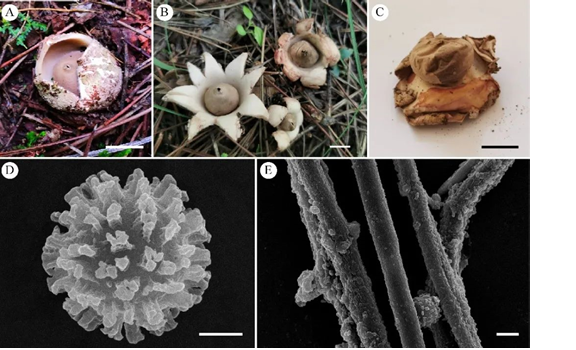 圖片關鍵詞 圖片關鍵詞