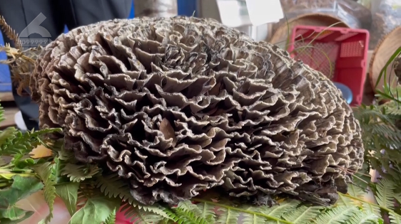 圖片關鍵詞 圖片